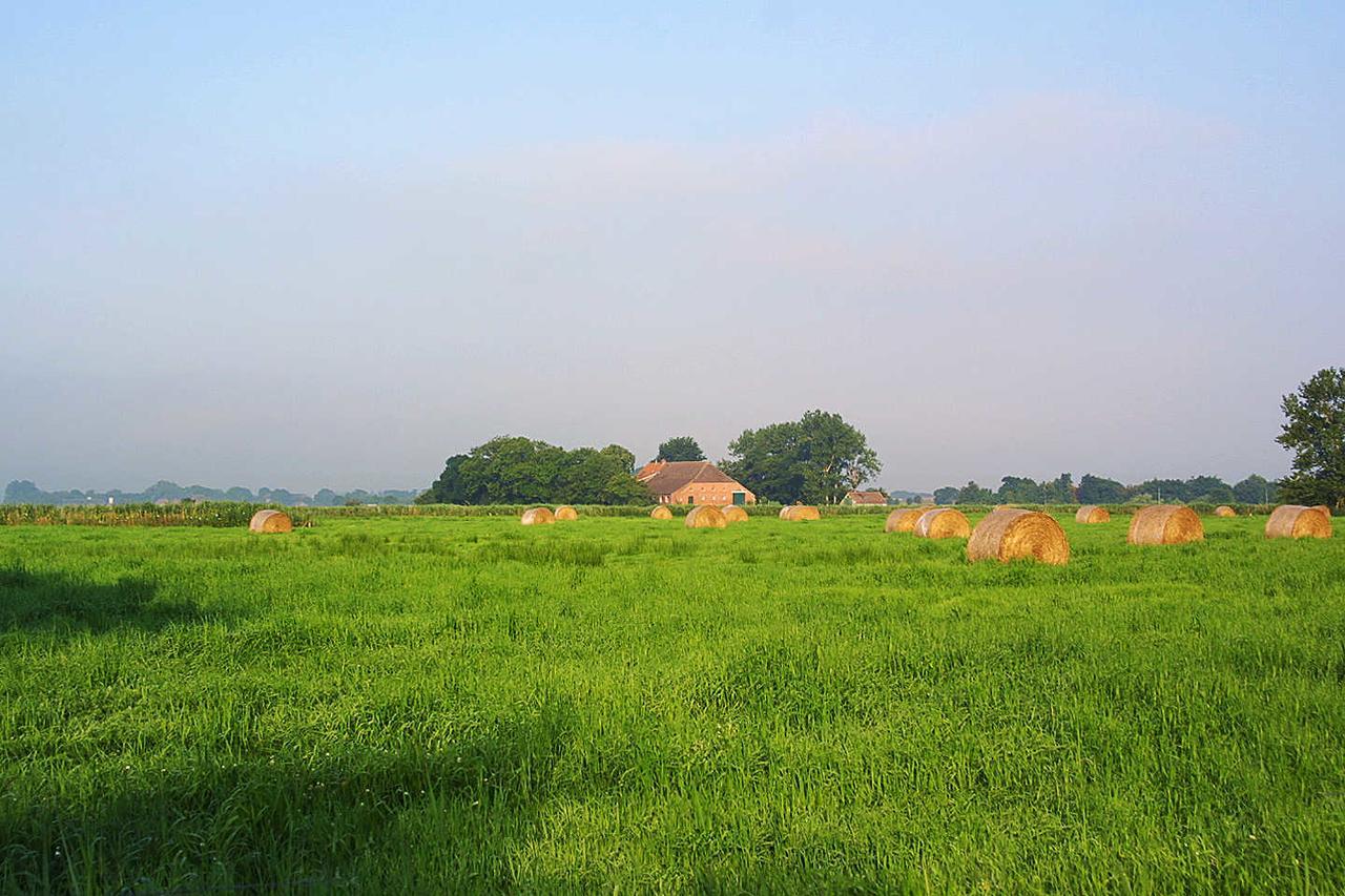 Ferienwohnungen Haus Westwind Bensersiel Esterno foto